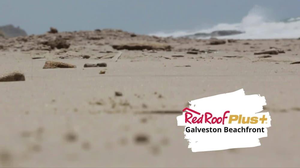 Red Roof Inn Plus + Galveston - Beachfront Exteriér fotografie